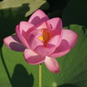7月10日の日記