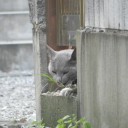 今夜の月はレモンみたいな形ですよ奥さん　“YESバカスｗクリニックの憂鬱”　の巻