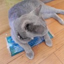 食事は朝昼晩と冷奴　“夜中にお腹がすいて眠れないでござる”　の巻