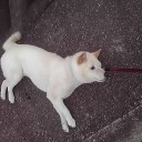 今年もとうとう