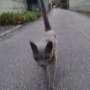 7月1８日の日記