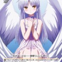 特別大会　BCF2011　全国決勝大会前夜祭 【7/29(金)　15:00～】　