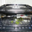 ２人暮らし２日目（仮）　“被害者と加害者と中立でいたいあたしのじれんま”　の巻