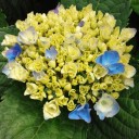 2011年7月24日（日）