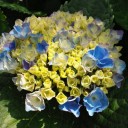 2012年7月26日（火）