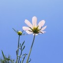 空に向かって