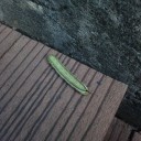 7月28日の日記