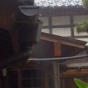 記録的な豪雨