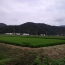 心配性な人たち