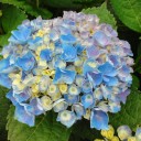 2011年7月30日（土）