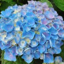 2011年8月1日（月）