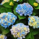 2011年8月1日（月）