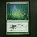 ２０１１　８月の大会予定と８月のFNMのプロモカード