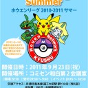ホウエンリーグ2010-2011 サマー