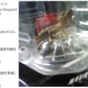 大人のウェブカム講座　“全裸のメスの視姦はお好き？”　の巻