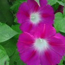 2011年8月1日（月）