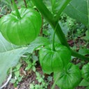 2011年8月1日（月）