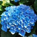 2011年8月2日（火）