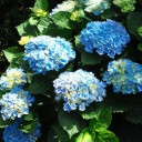 2011年8月2日（火）