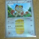 我が家にネコがやってきた。