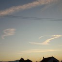 2011年8月3日（水）