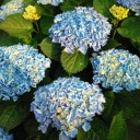 2011年8月4日（木）