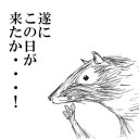 明日はいよいよ拡張アートオフ会です。