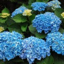 2011年8月7日（日）