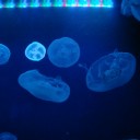 水族館