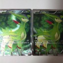 ポケモンカード　すのめろ