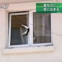 8月12日の日記