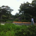 兼六園なう