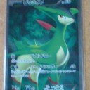 ビリジオンＳＲがやってきた！！