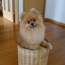 ヒトの手が入らぬが故に