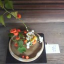 日帰り京都！* １８切符*プラスαでだらだと。