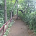 俺の夏休み