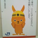 ズルいカワイさ