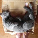 心が弱い１００の理由　“馬鹿につける薬はどこで売っていますか？”　の巻