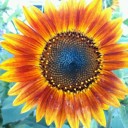 2011年8月26日（金）