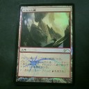 先日のレガシー大会と９月の大会予定