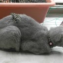 闇でうごめく小者たち　“オカアサンの暴走はやまず”　の巻