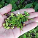 世捨て人日記　“それでも三菱に行けない１００の理由”　の巻