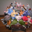 ＭＹポケモンコレクション８／持ち手を邪魔する仲間達（その３）