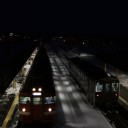 夜の深川