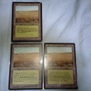 頼んでおいた品