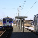 再び本桐にて