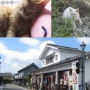 大分（祖母宅）行ってきました