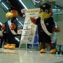 マダムシンコ