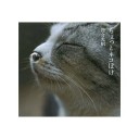 岩合光昭写真展「ねこ」＠大丸心斎橋イベントホール