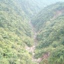 「要請され刺した」　嘱託殺人未遂の疑い　男子学生逮捕